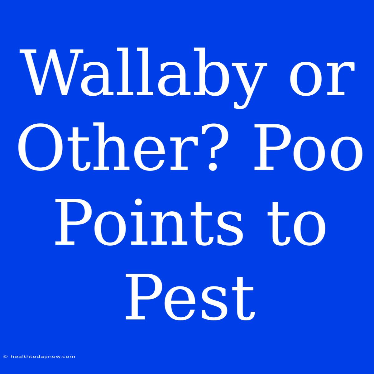 Wallaby Or Other? Poo Points To Pest