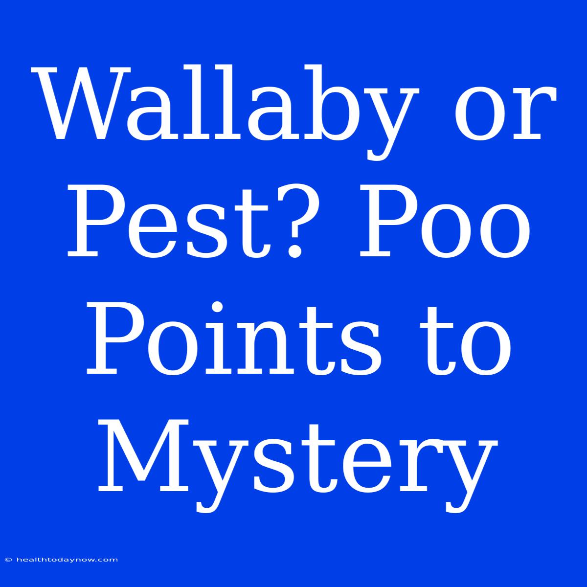 Wallaby Or Pest? Poo Points To Mystery