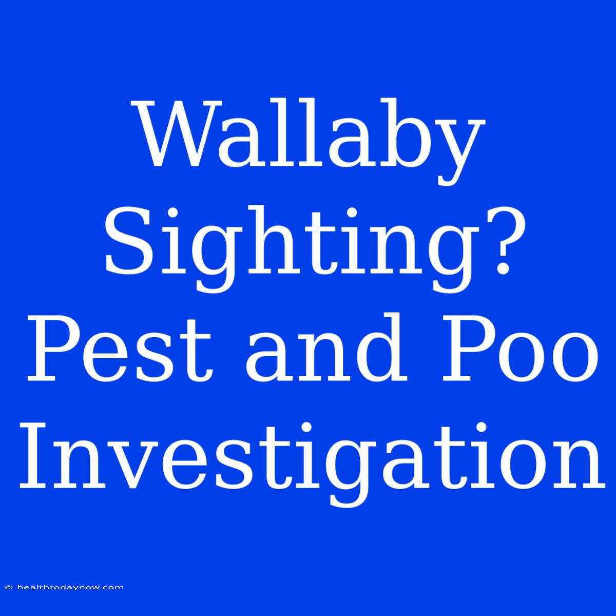 Wallaby Sighting? Pest And Poo Investigation