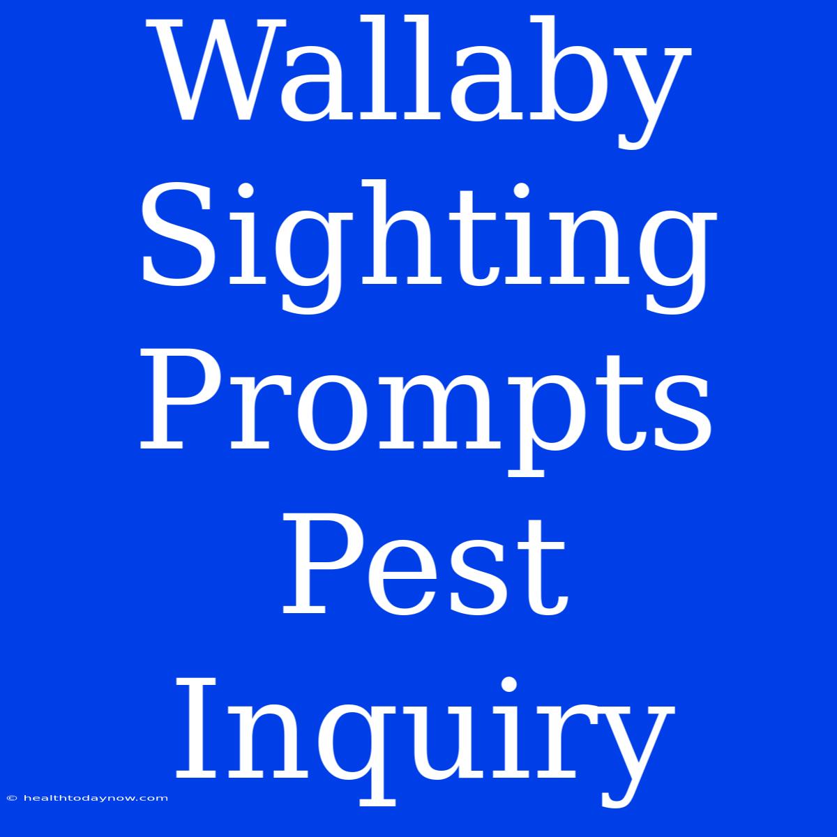 Wallaby Sighting Prompts Pest Inquiry