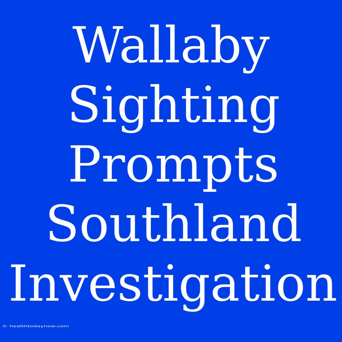 Wallaby Sighting Prompts Southland Investigation