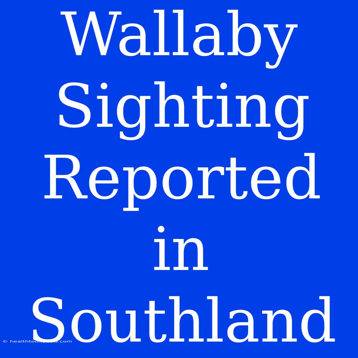 Wallaby Sighting Reported In Southland