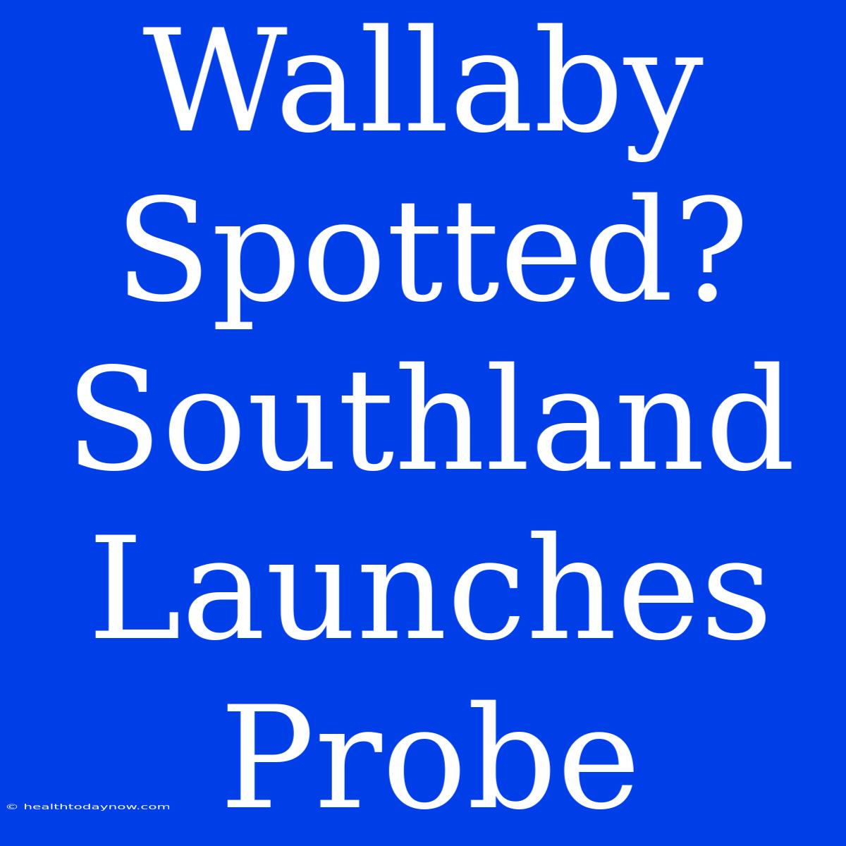 Wallaby Spotted? Southland Launches Probe