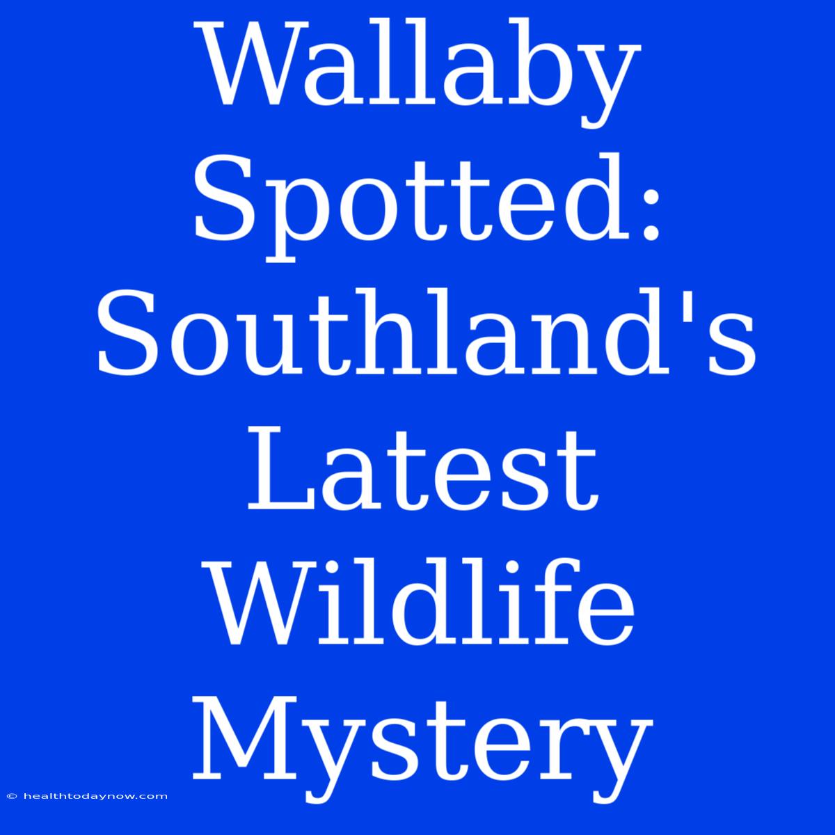 Wallaby Spotted: Southland's Latest Wildlife Mystery