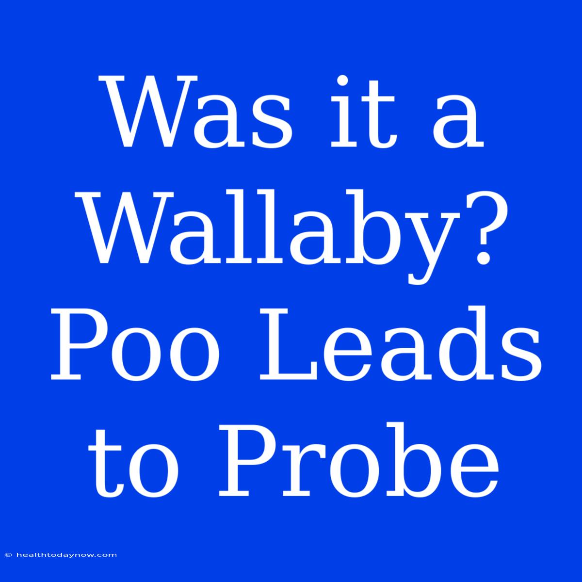 Was It A Wallaby? Poo Leads To Probe 