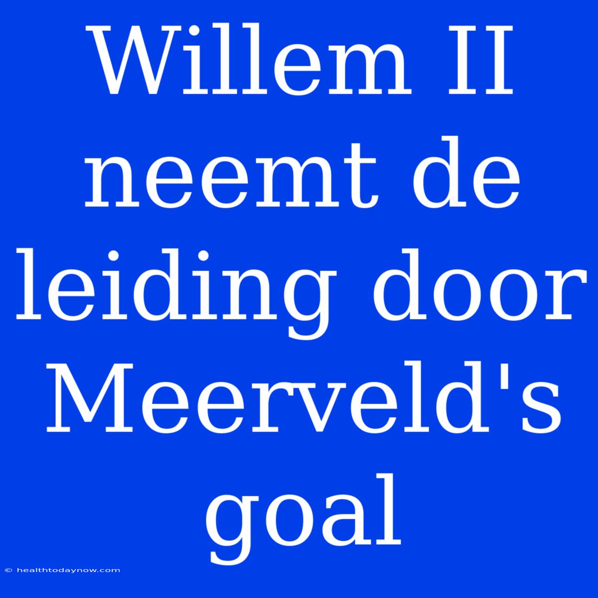 Willem II Neemt De Leiding Door Meerveld's Goal 