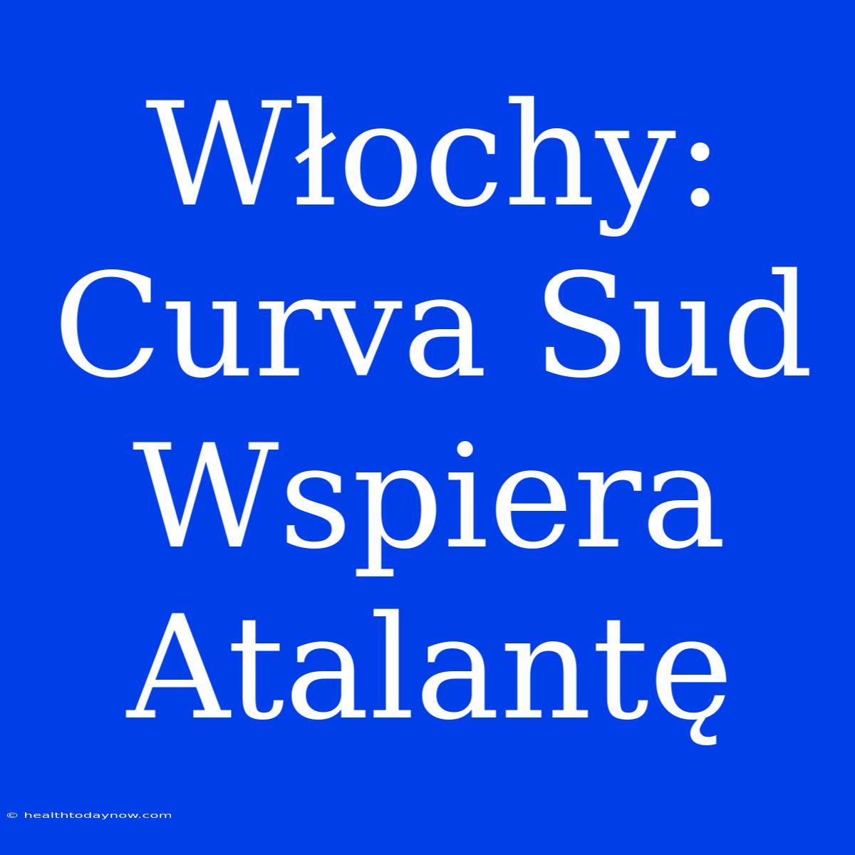 Włochy: Curva Sud Wspiera Atalantę