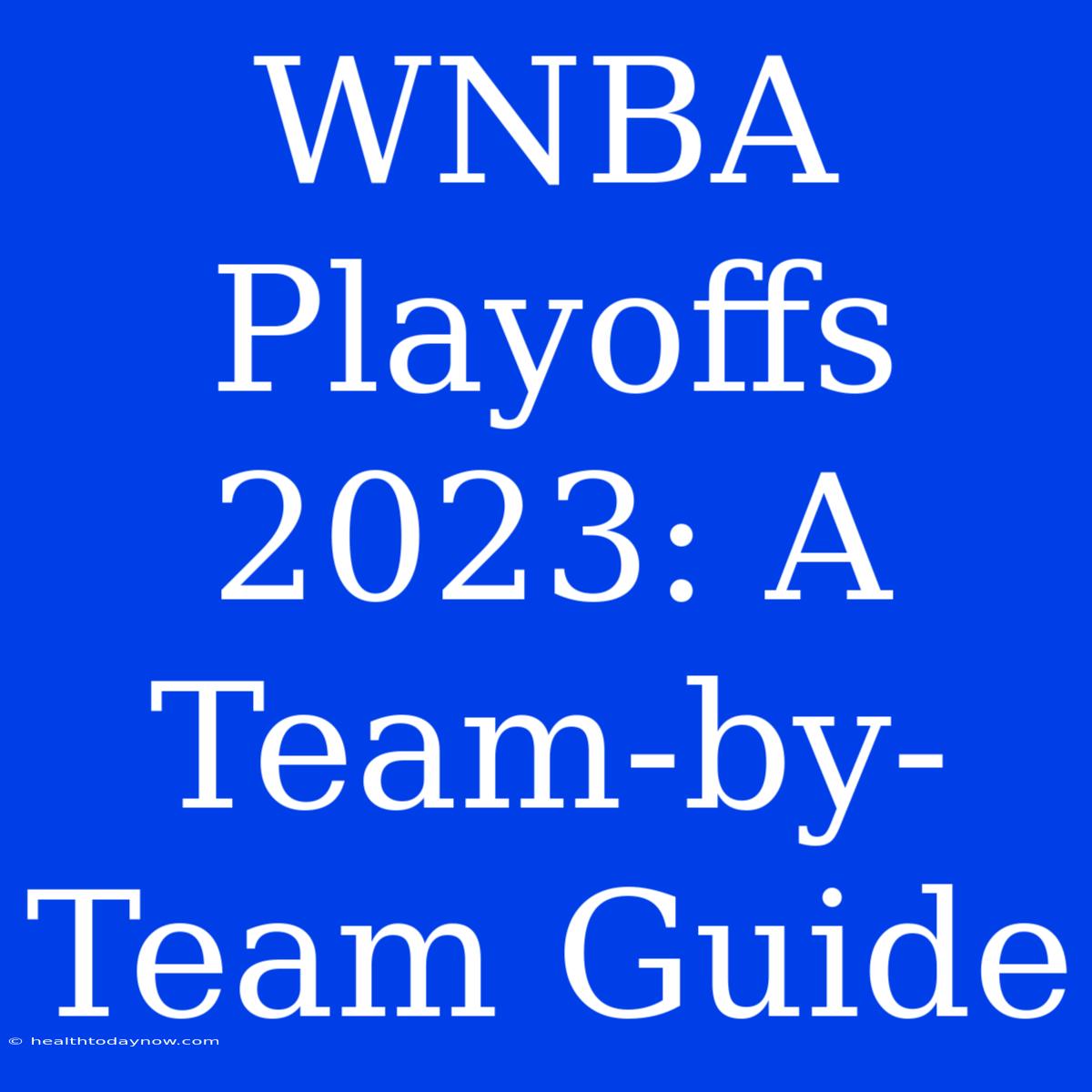 WNBA Playoffs 2023: A Team-by-Team Guide