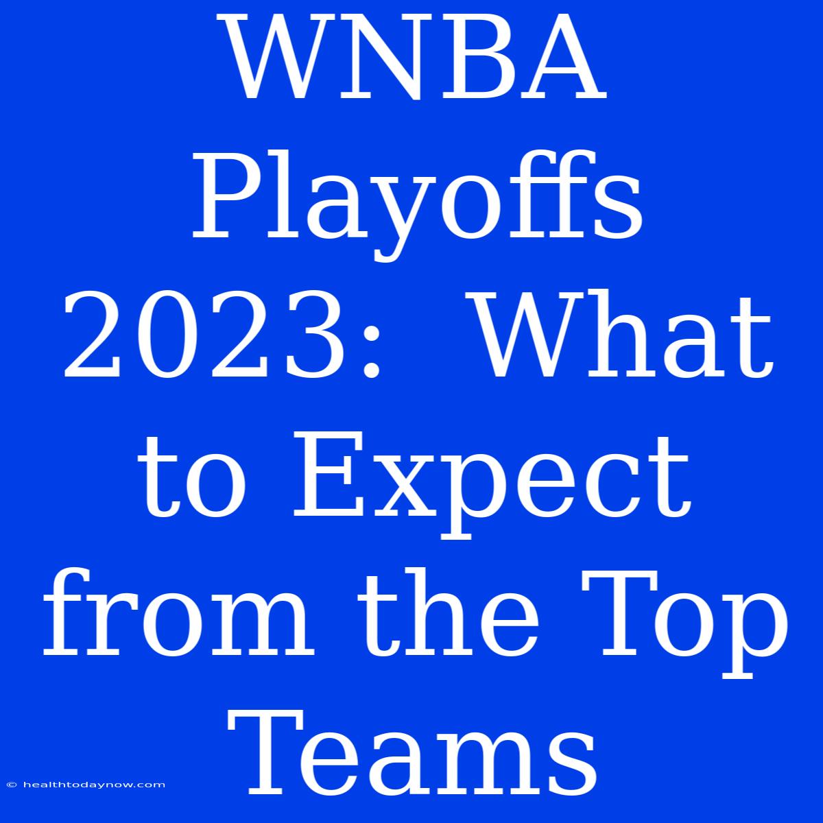 WNBA Playoffs 2023:  What To Expect From The Top Teams 