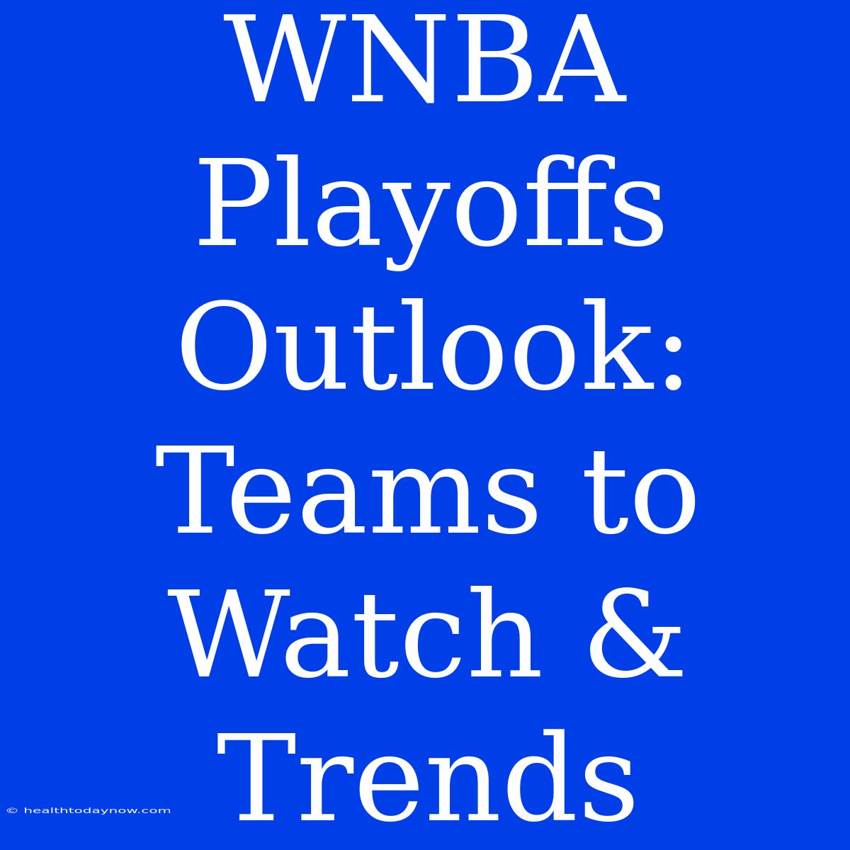 WNBA Playoffs Outlook: Teams To Watch & Trends