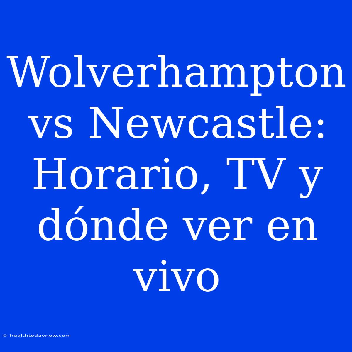 Wolverhampton Vs Newcastle: Horario, TV Y Dónde Ver En Vivo