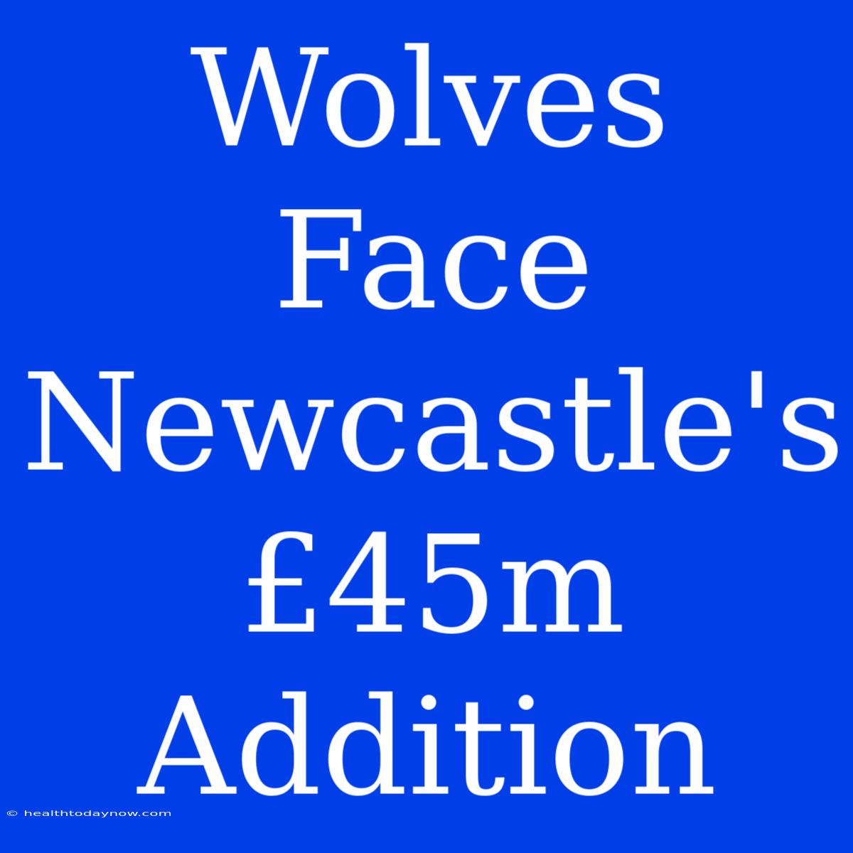 Wolves Face Newcastle's £45m Addition 