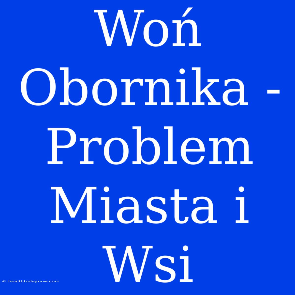 Woń Obornika - Problem Miasta I Wsi