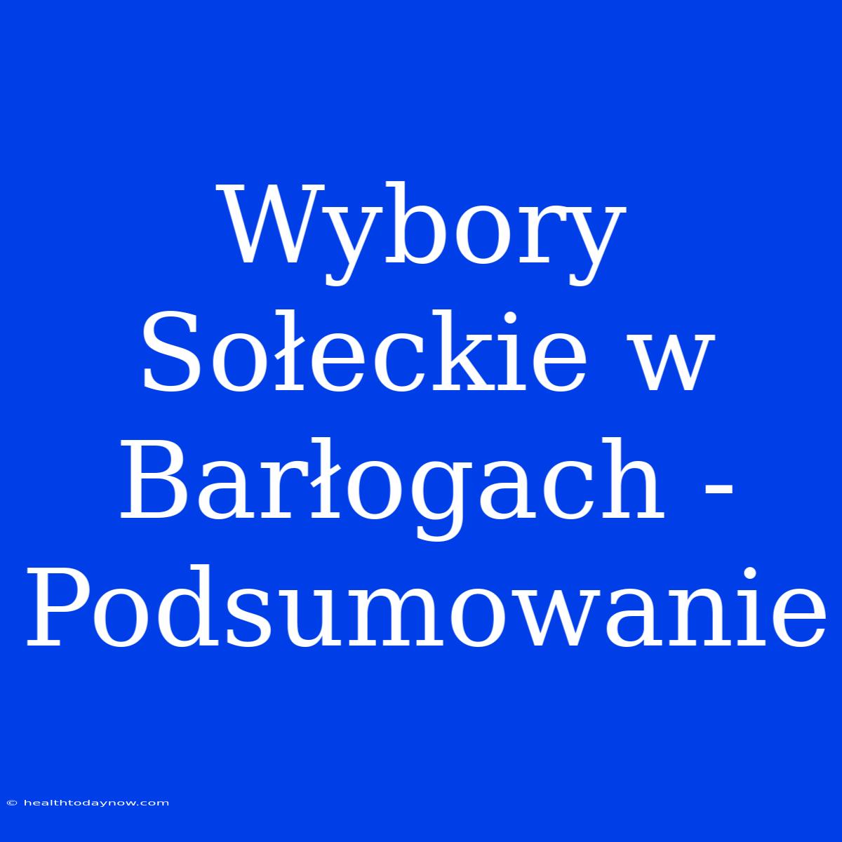 Wybory Sołeckie W Barłogach - Podsumowanie