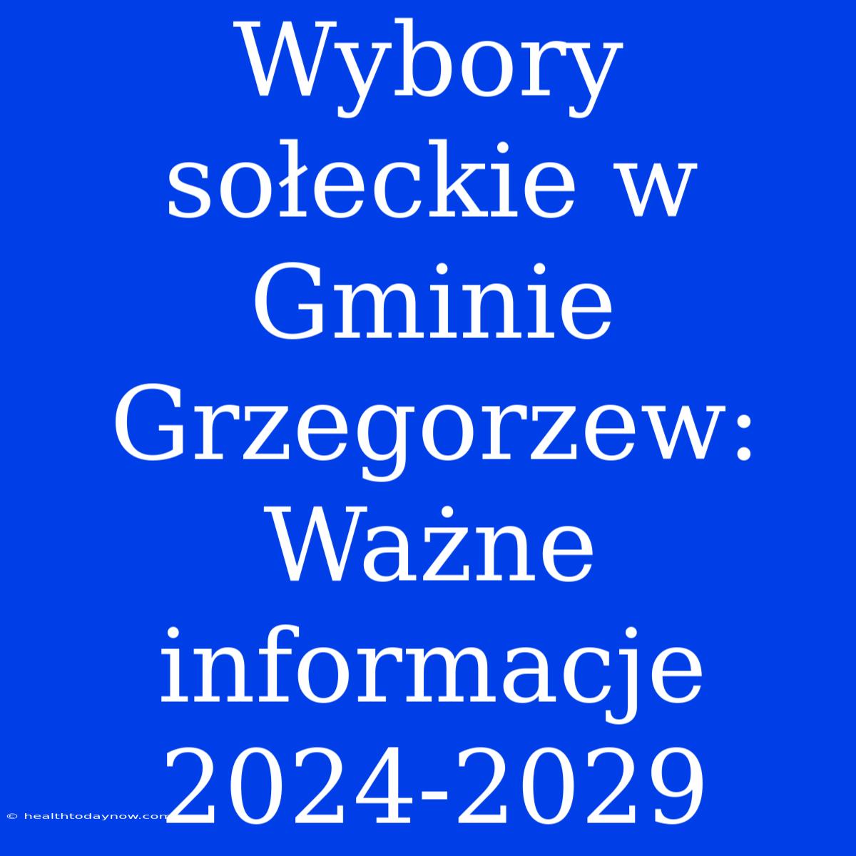 Wybory Sołeckie W Gminie Grzegorzew: Ważne Informacje 2024-2029