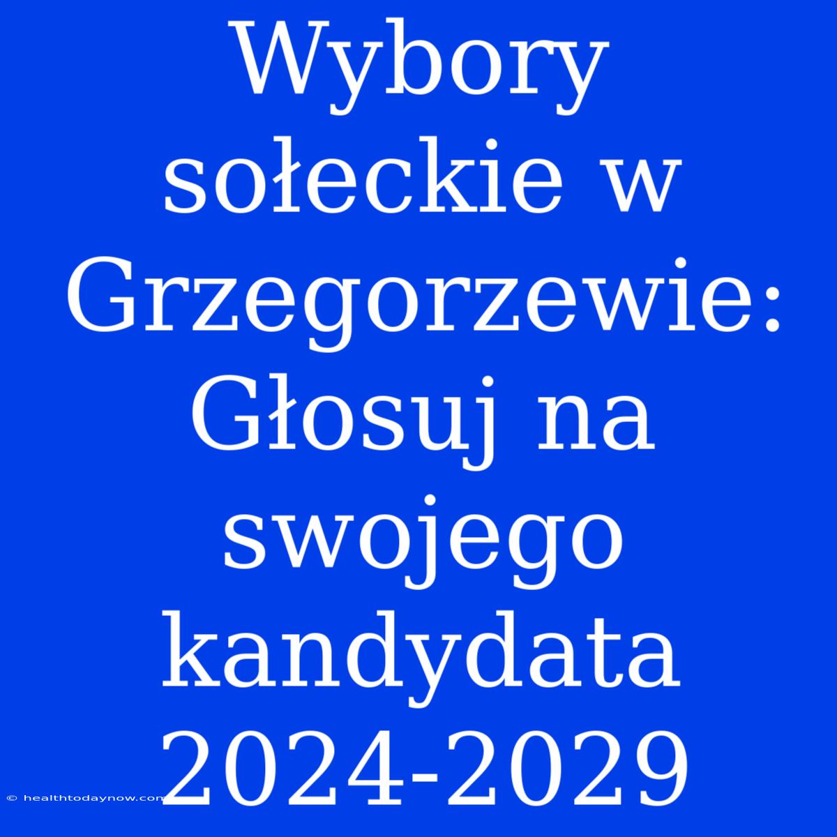 Wybory Sołeckie W Grzegorzewie: Głosuj Na Swojego Kandydata 2024-2029