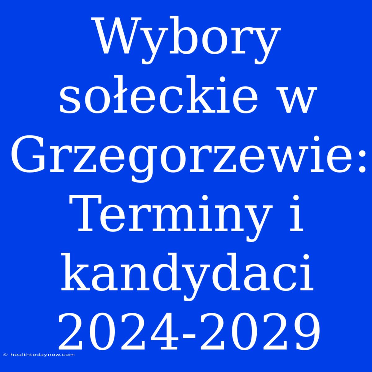 Wybory Sołeckie W Grzegorzewie: Terminy I Kandydaci 2024-2029