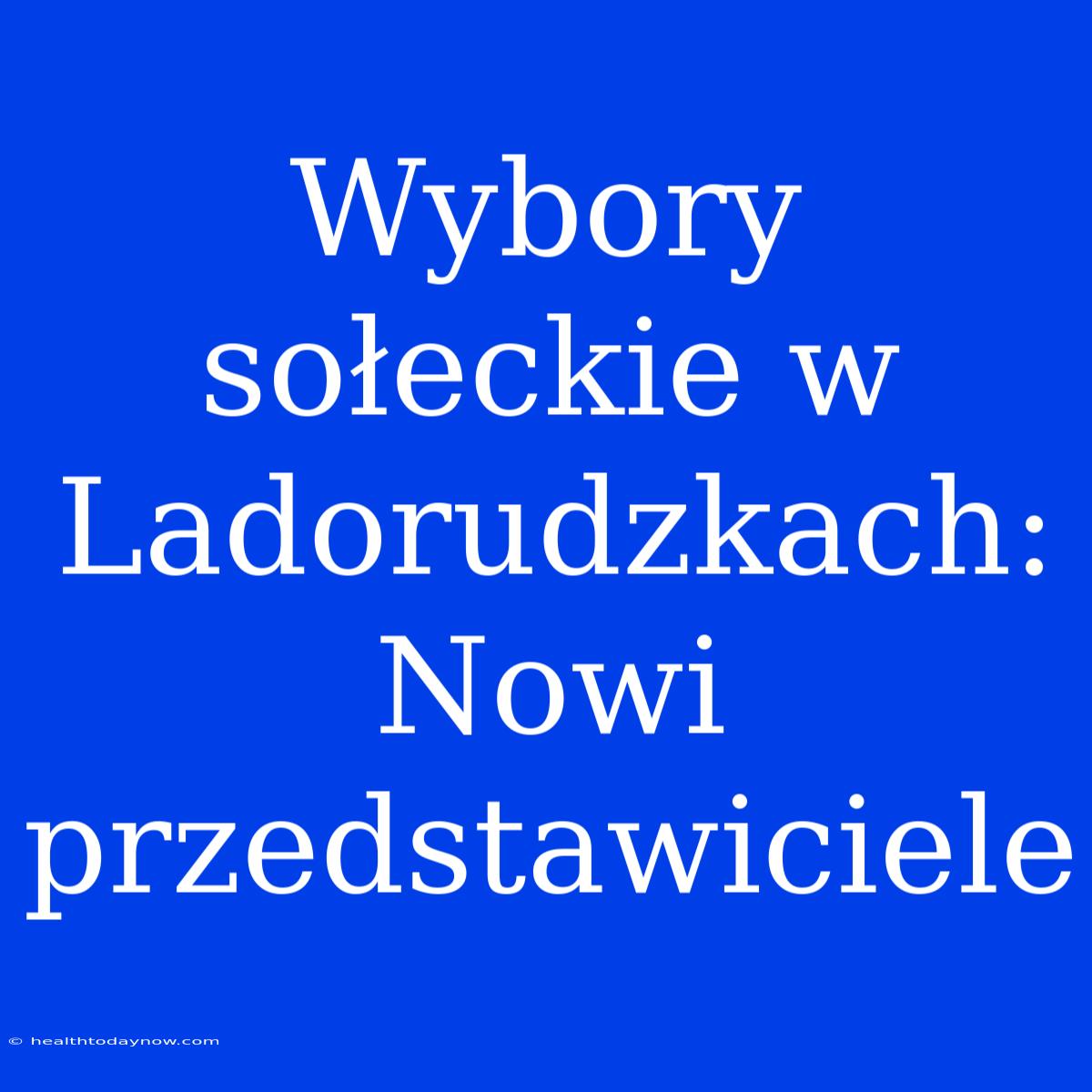 Wybory Sołeckie W Ladorudzkach: Nowi Przedstawiciele