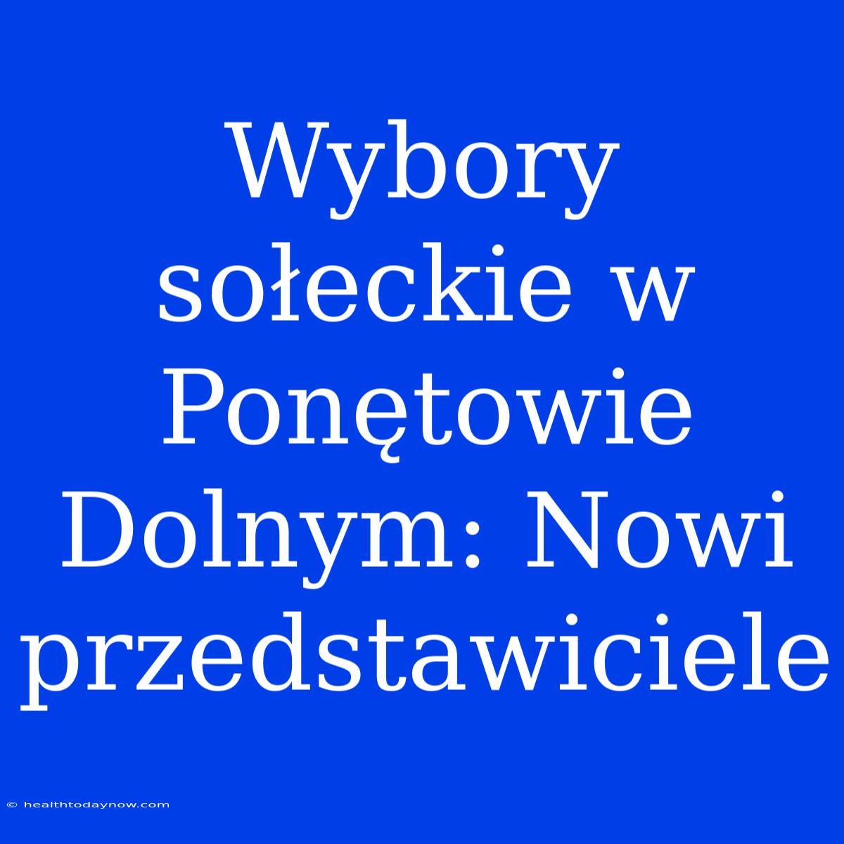 Wybory Sołeckie W Ponętowie Dolnym: Nowi Przedstawiciele 