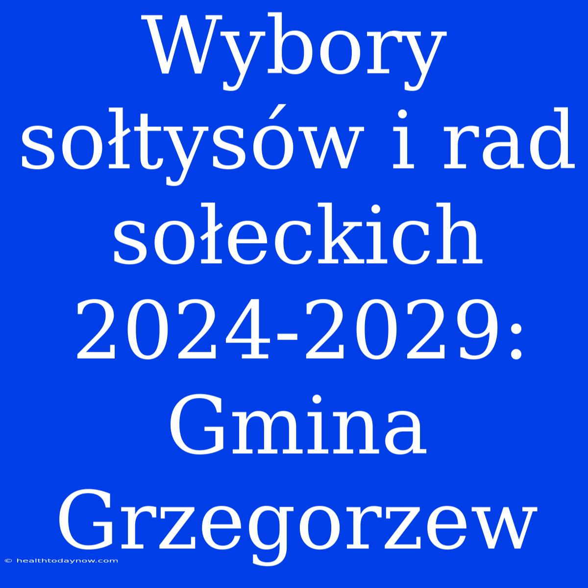 Wybory Sołtysów I Rad Sołeckich 2024-2029: Gmina Grzegorzew