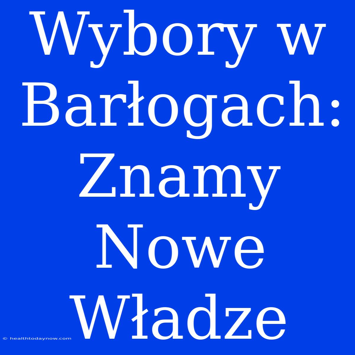 Wybory W Barłogach: Znamy Nowe Władze