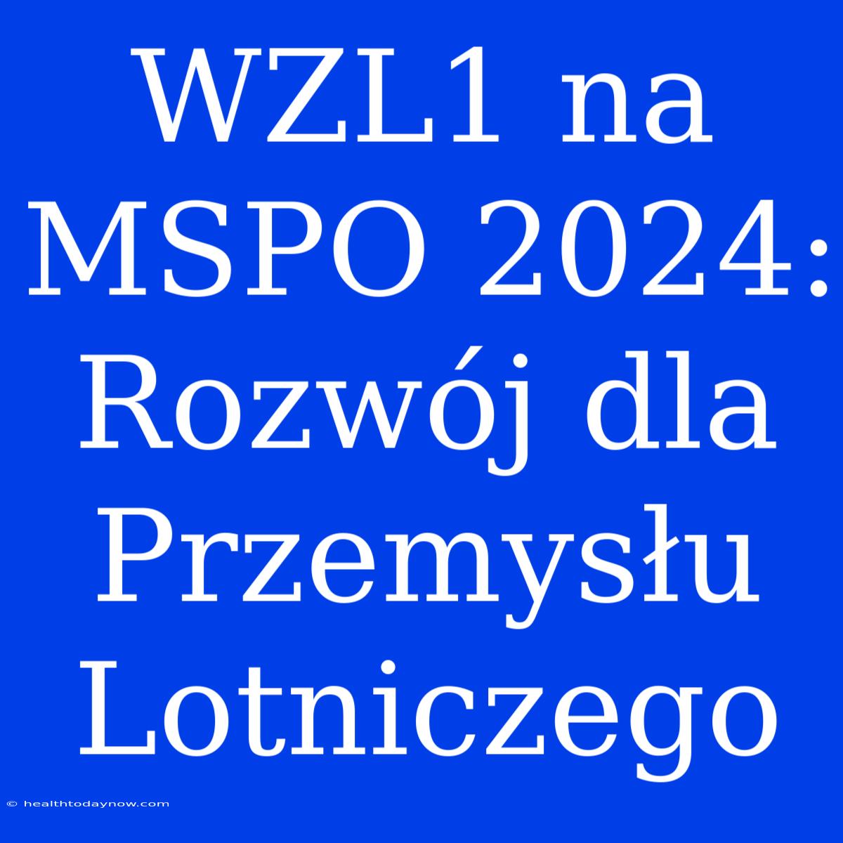 WZL1 Na MSPO 2024: Rozwój Dla Przemysłu Lotniczego