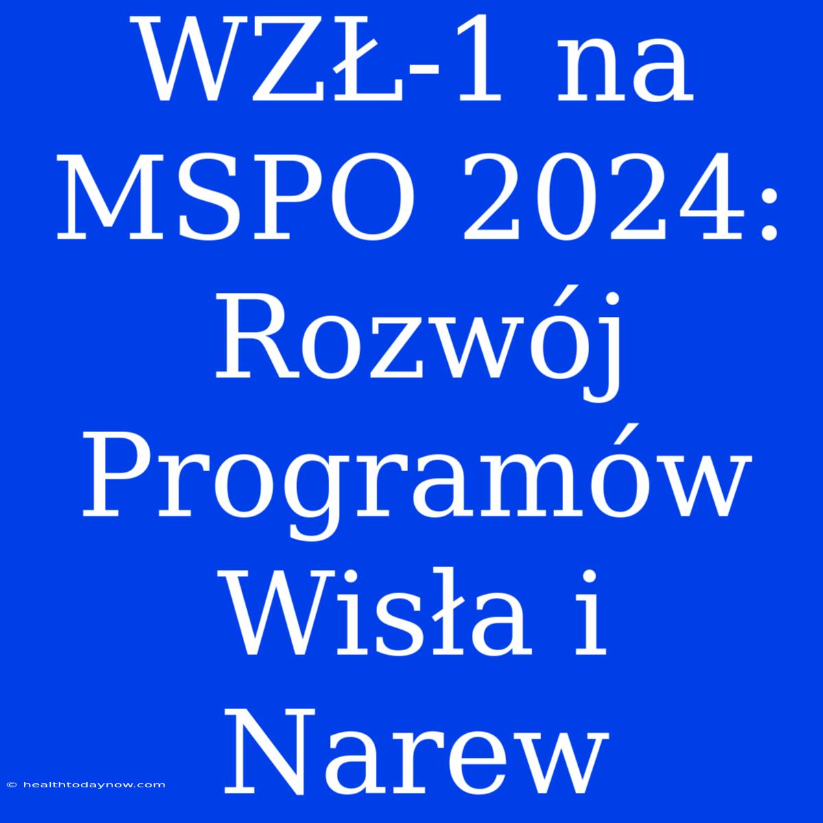 WZŁ-1 Na MSPO 2024: Rozwój Programów Wisła I Narew