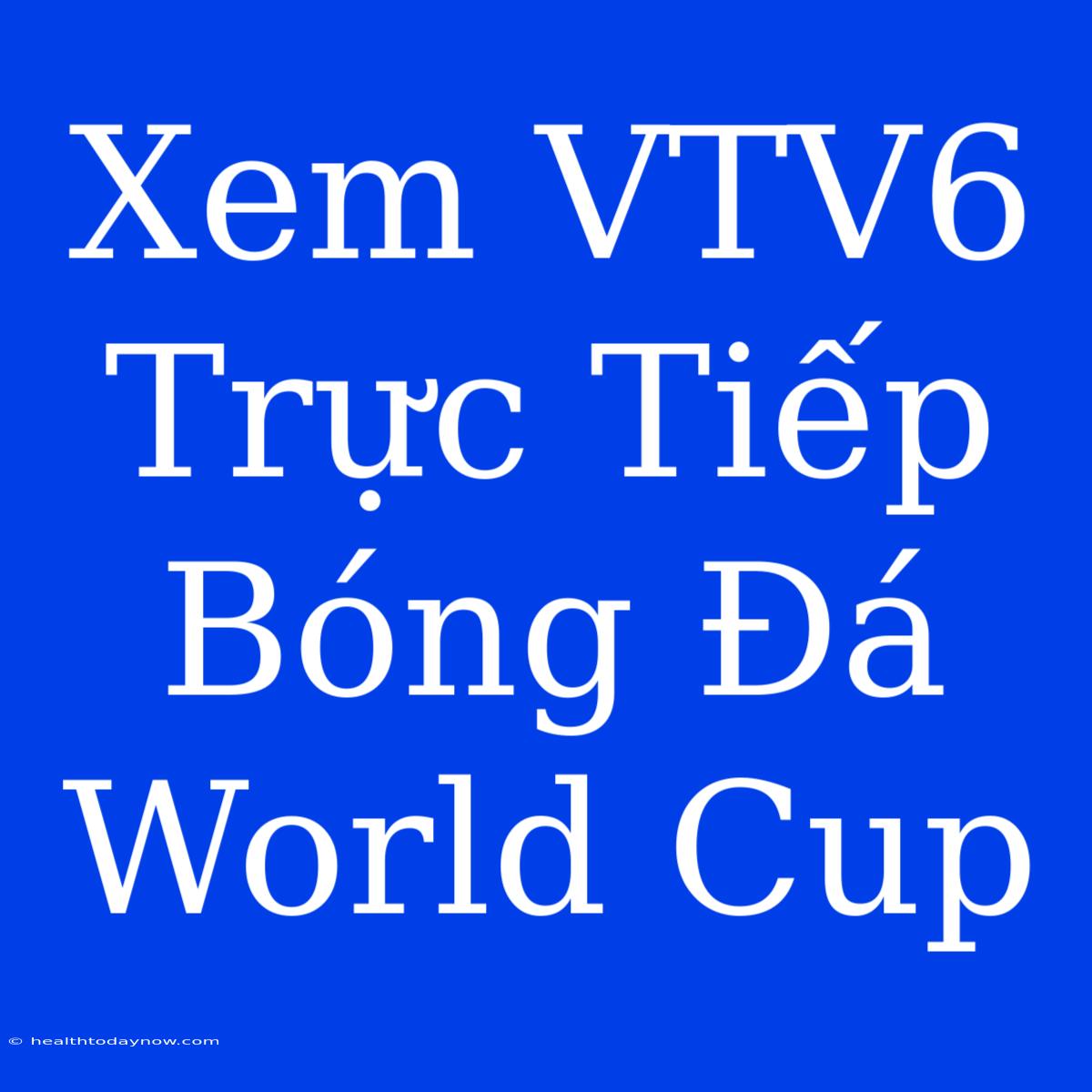 Xem VTV6 Trực Tiếp Bóng Đá World Cup