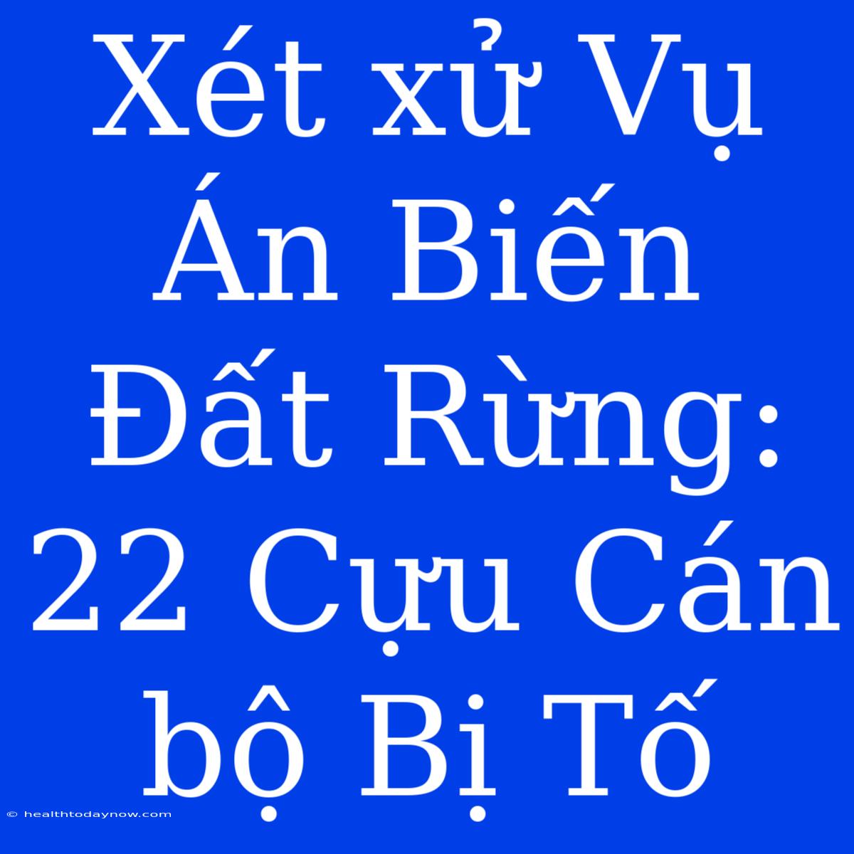 Xét Xử Vụ Án Biến Đất Rừng: 22 Cựu Cán Bộ Bị Tố