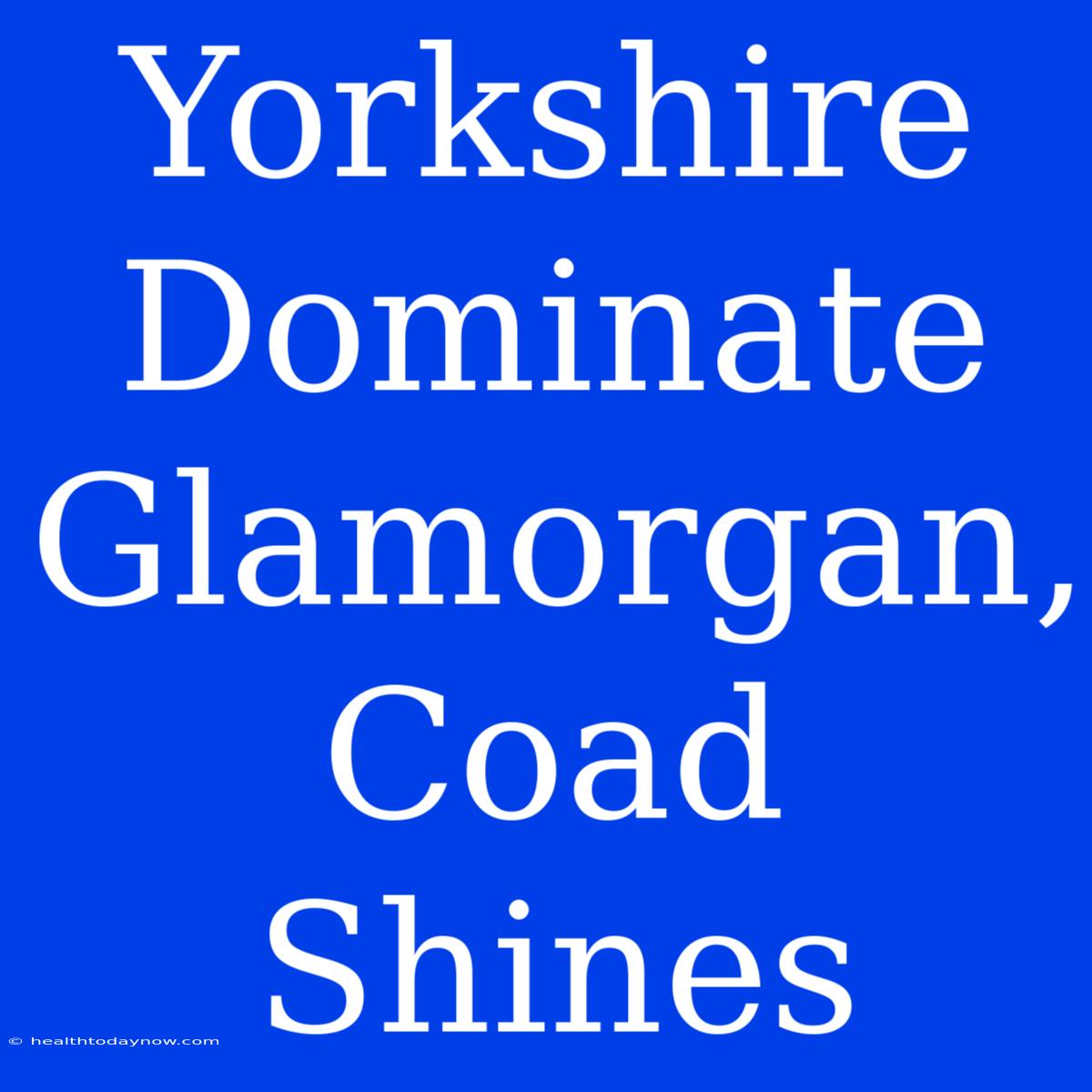 Yorkshire Dominate Glamorgan, Coad Shines 