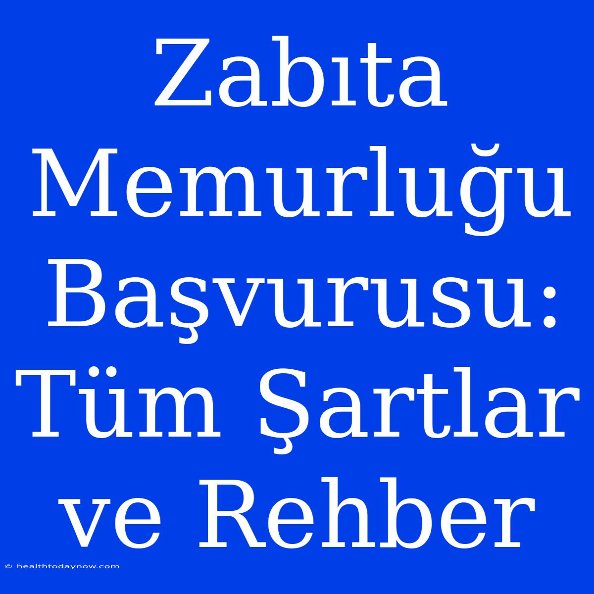 Zabıta Memurluğu Başvurusu: Tüm Şartlar Ve Rehber