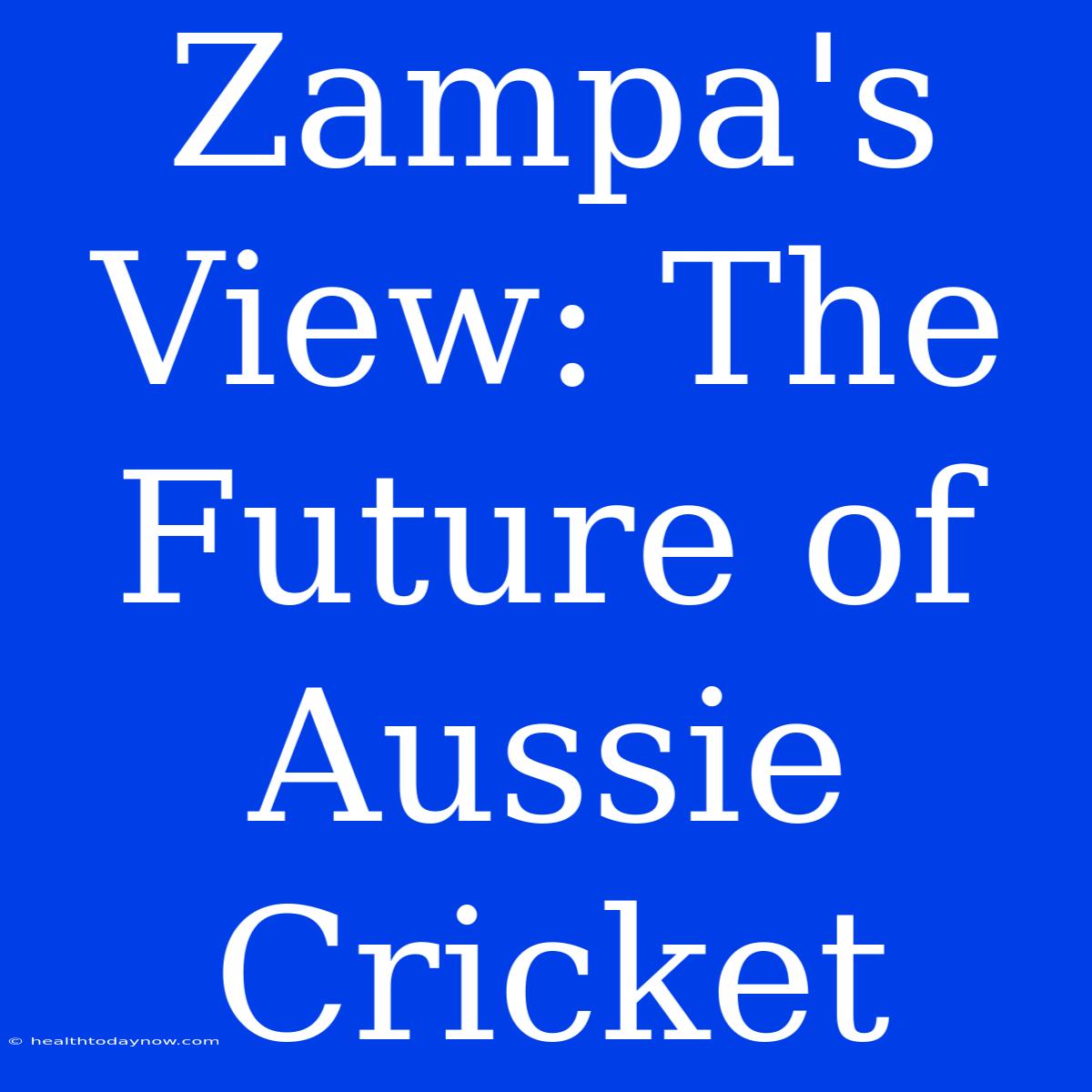 Zampa's View: The Future Of Aussie Cricket 