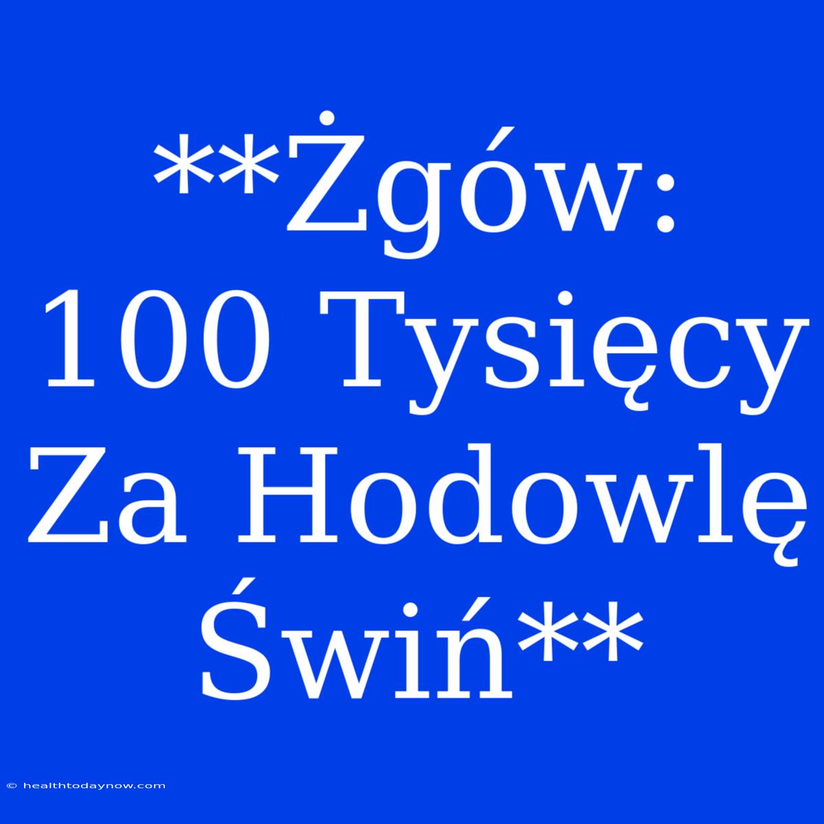 **Żgów: 100 Tysięcy Za Hodowlę Świń**