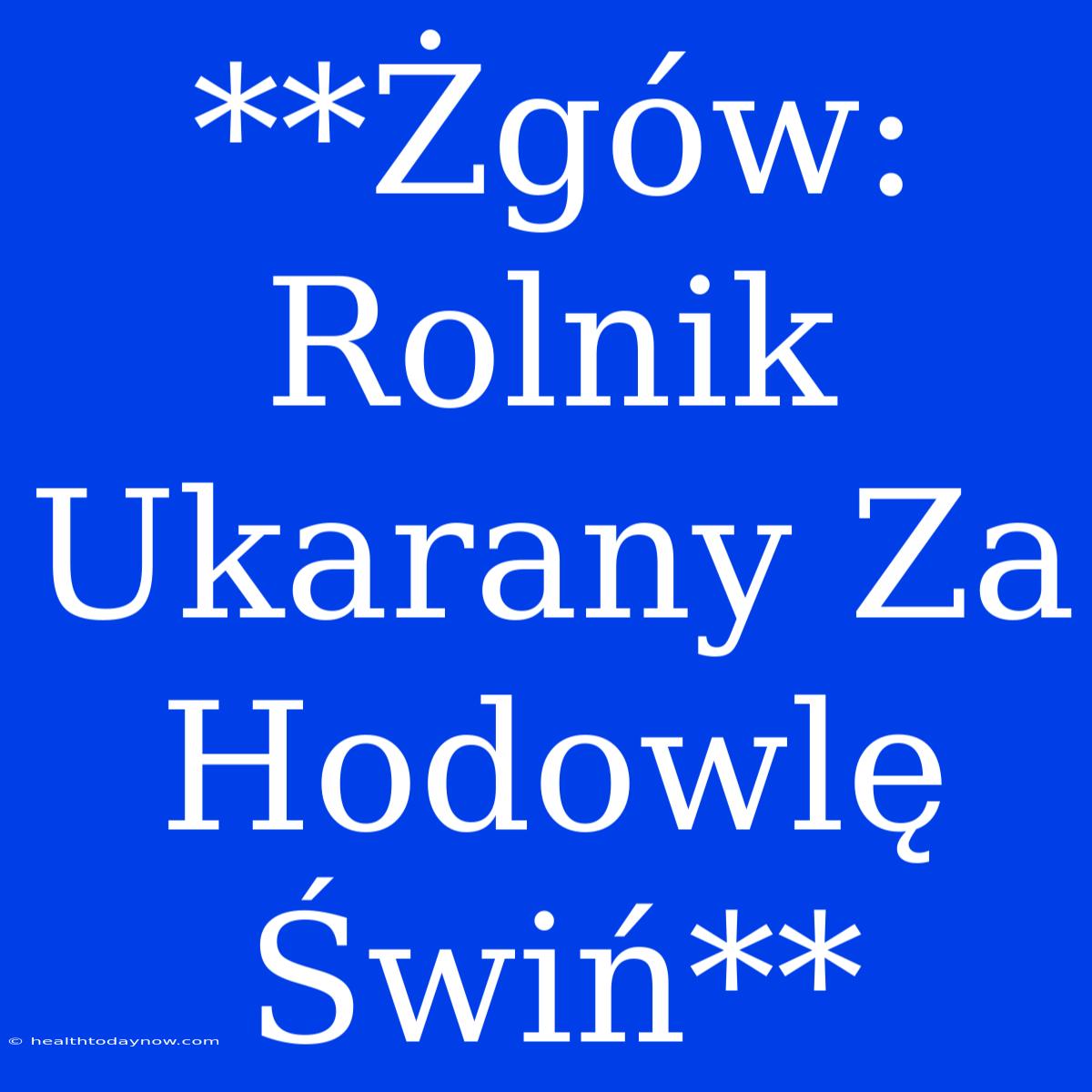 **Żgów: Rolnik Ukarany Za Hodowlę Świń**