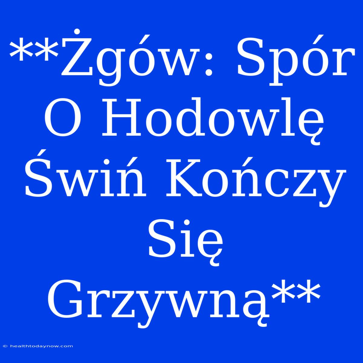 **Żgów: Spór O Hodowlę Świń Kończy Się Grzywną**