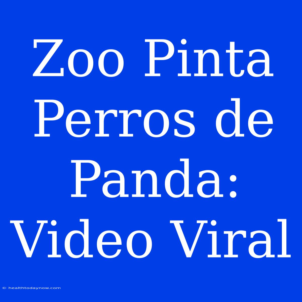 Zoo Pinta Perros De Panda: Video Viral