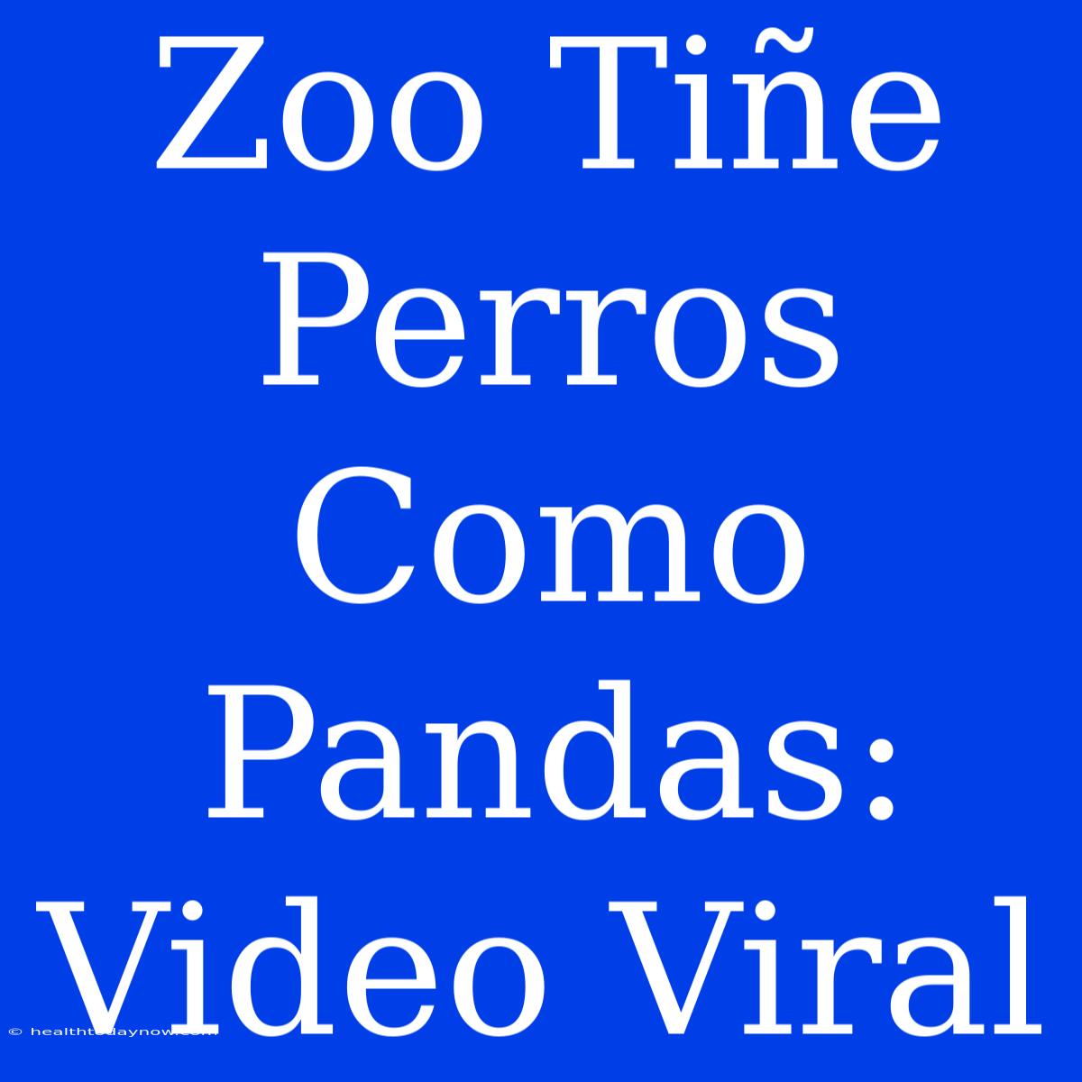 Zoo Tiñe Perros Como Pandas: Video Viral