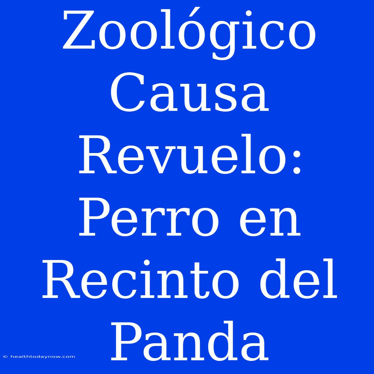 Zoológico Causa Revuelo: Perro En Recinto Del Panda