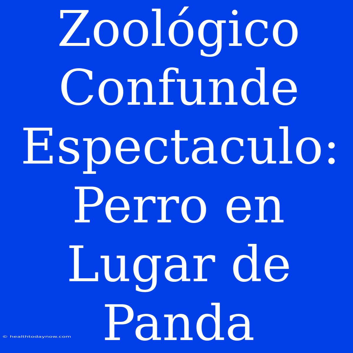 Zoológico Confunde Espectaculo: Perro En Lugar De Panda