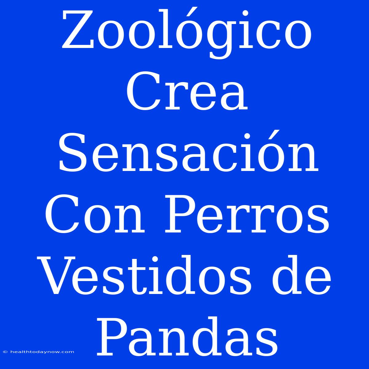 Zoológico Crea Sensación Con Perros Vestidos De Pandas