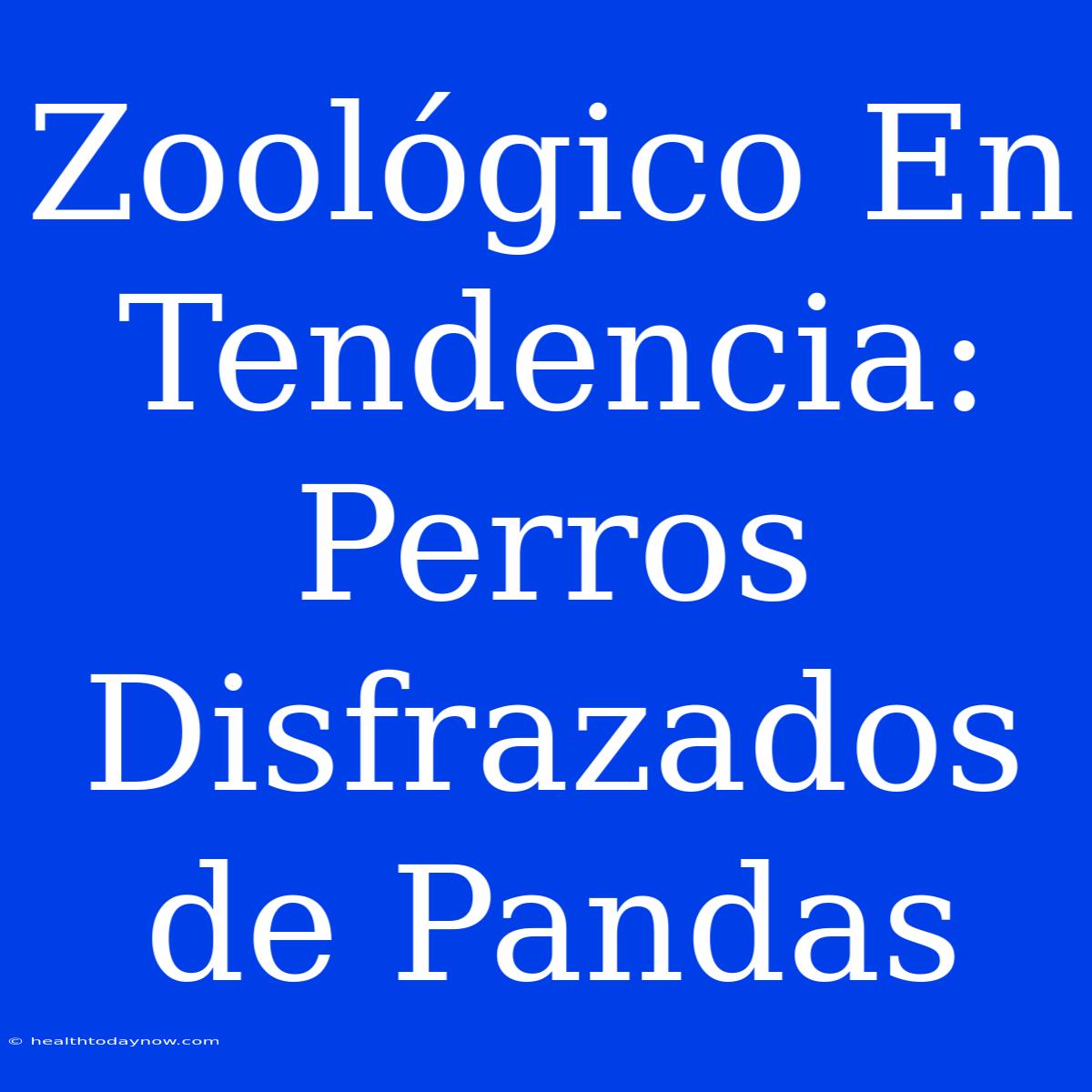 Zoológico En Tendencia: Perros Disfrazados De Pandas