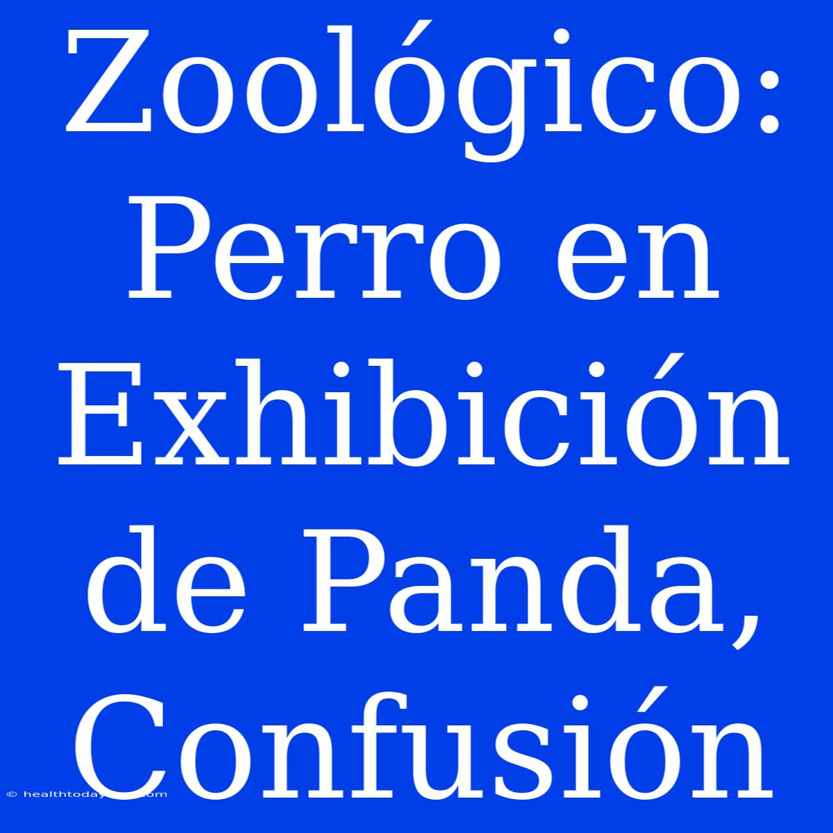 Zoológico: Perro En Exhibición De Panda, Confusión 