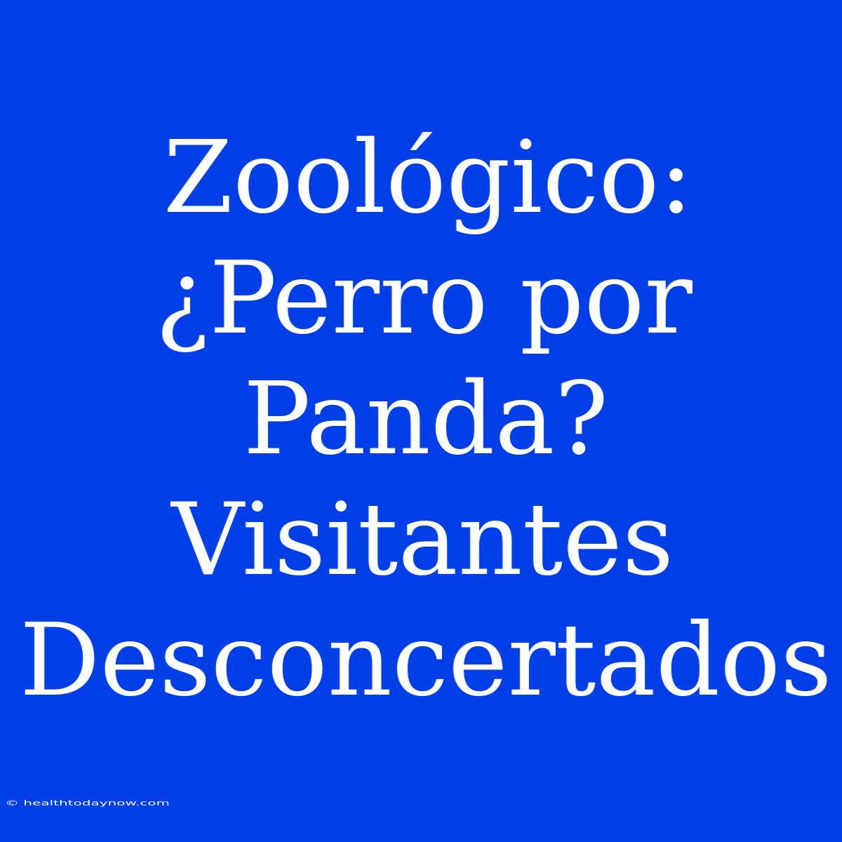 Zoológico: ¿Perro Por Panda? Visitantes Desconcertados