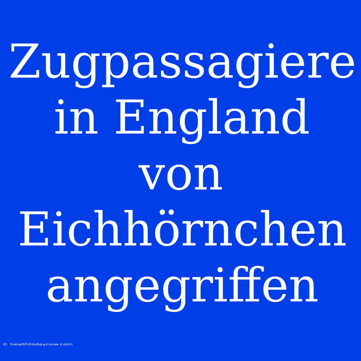 Zugpassagiere In England Von Eichhörnchen Angegriffen