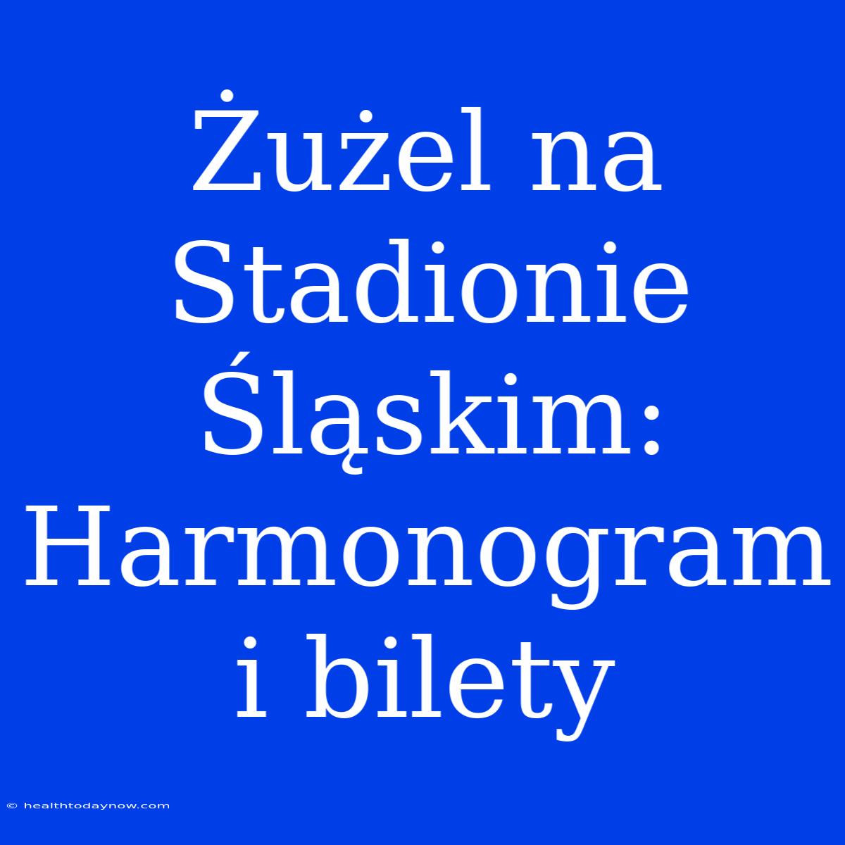 Żużel Na Stadionie Śląskim: Harmonogram I Bilety 