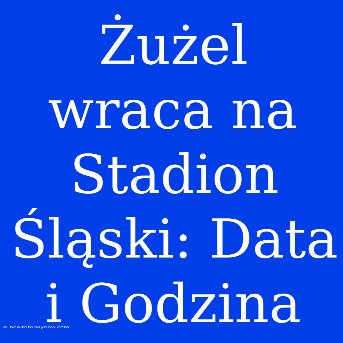 Żużel Wraca Na Stadion Śląski: Data I Godzina