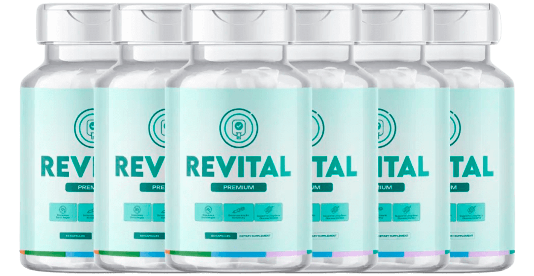 Revital 6 Bottles